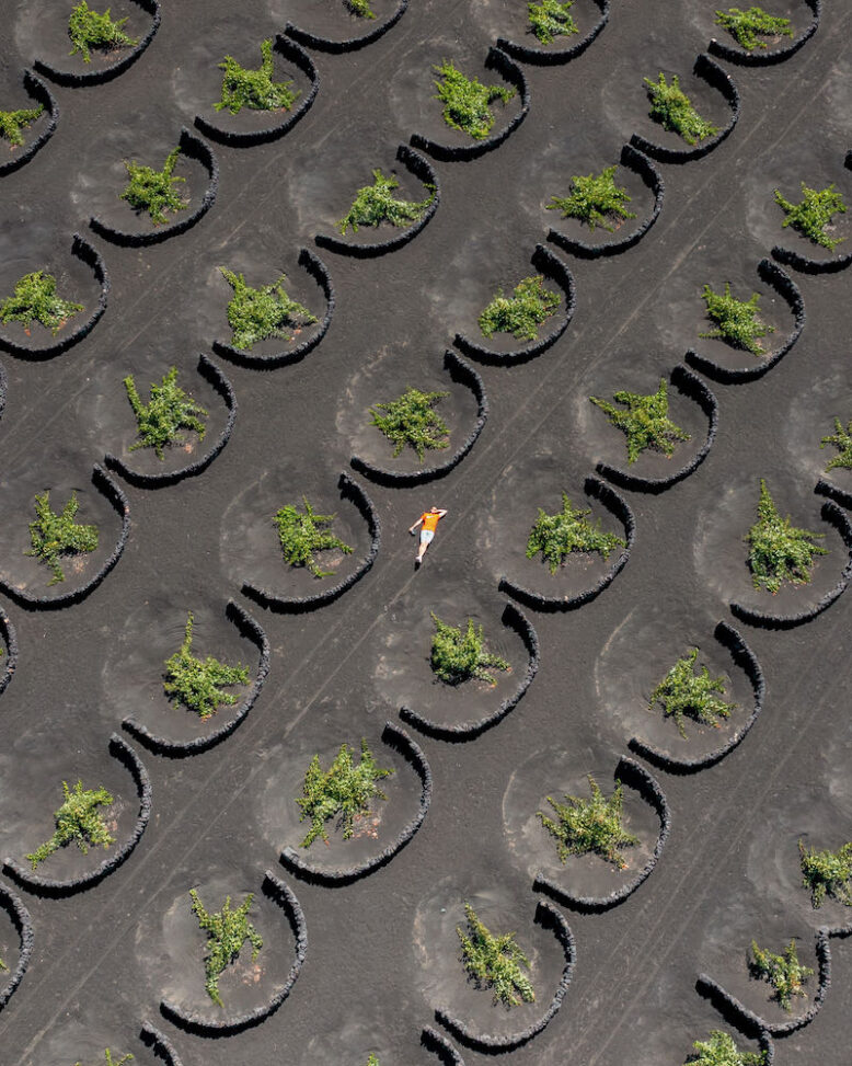 Lanzarote Vineyards, foto di Francesco Mazzei